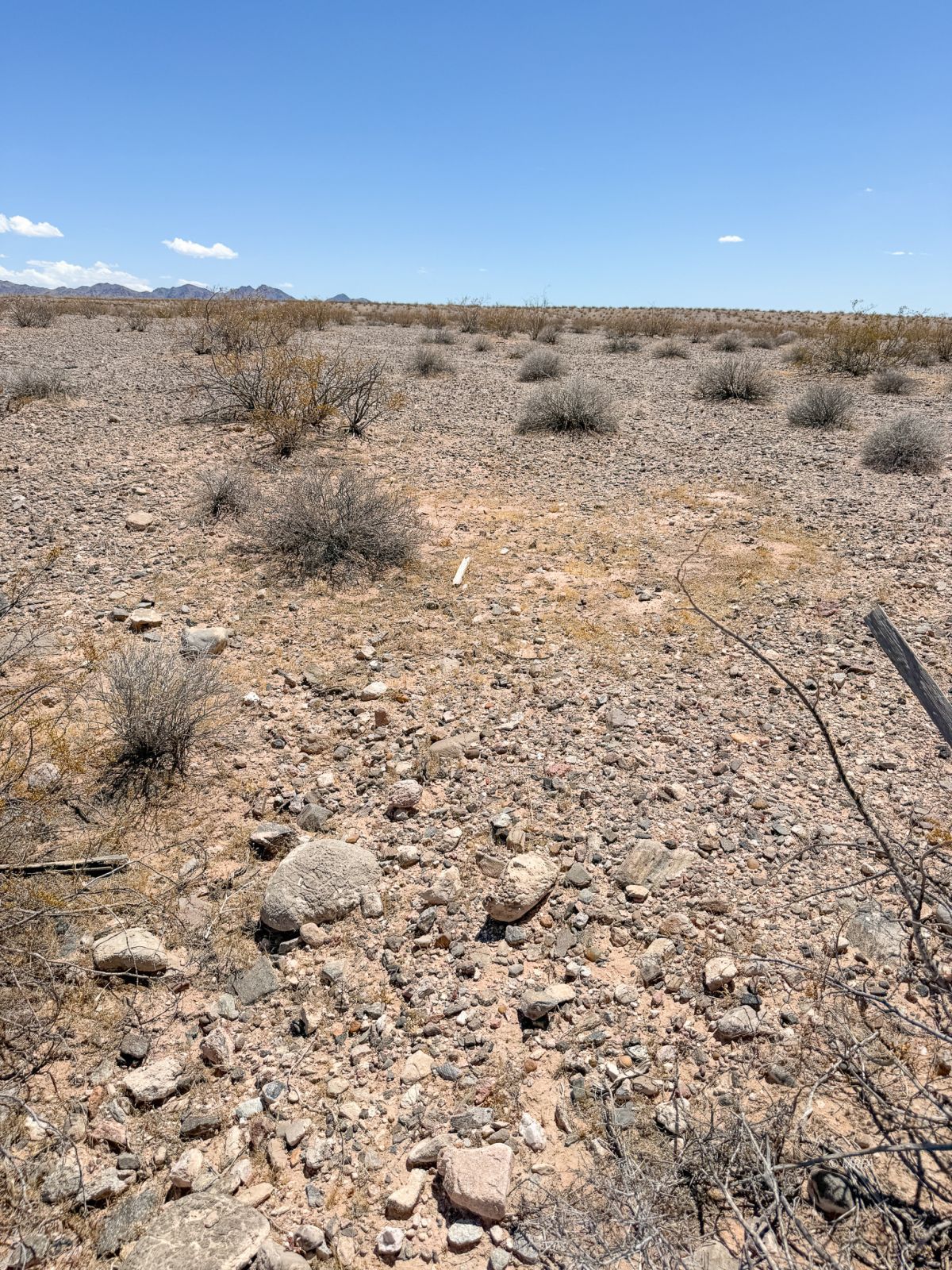 Property Photo 47