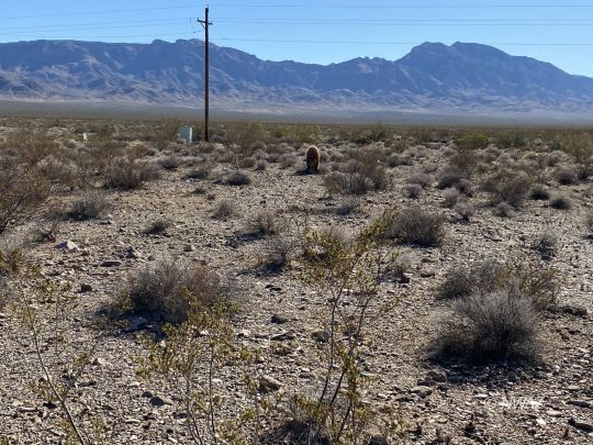 feature listing property photo