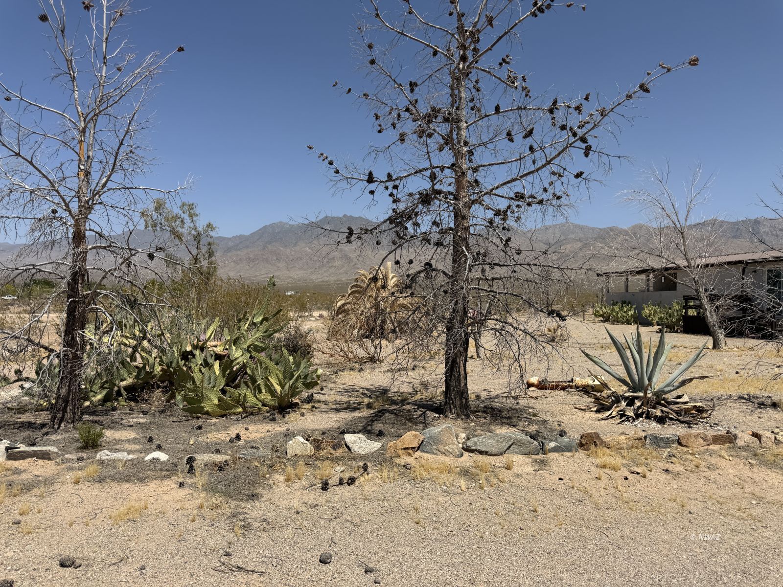 Property Photo 43