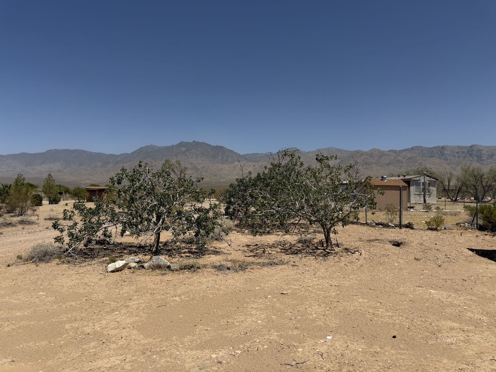 Property Photo 40