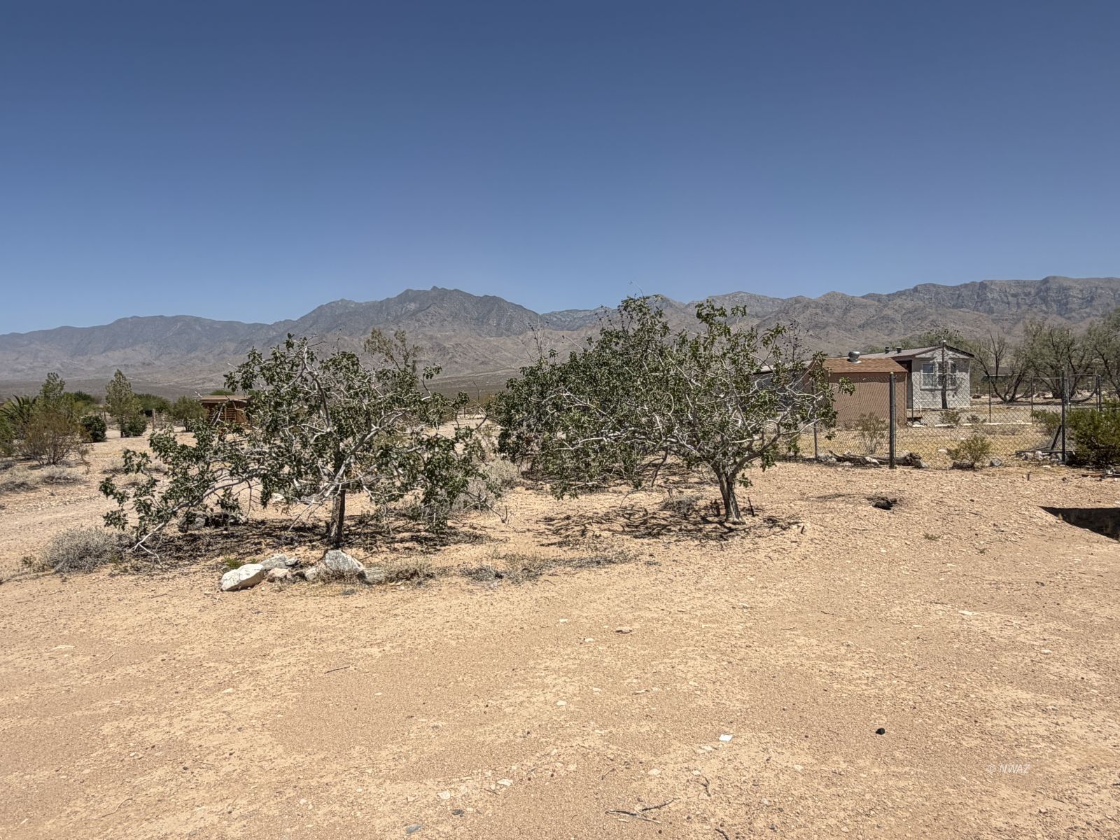 Property Photo 41