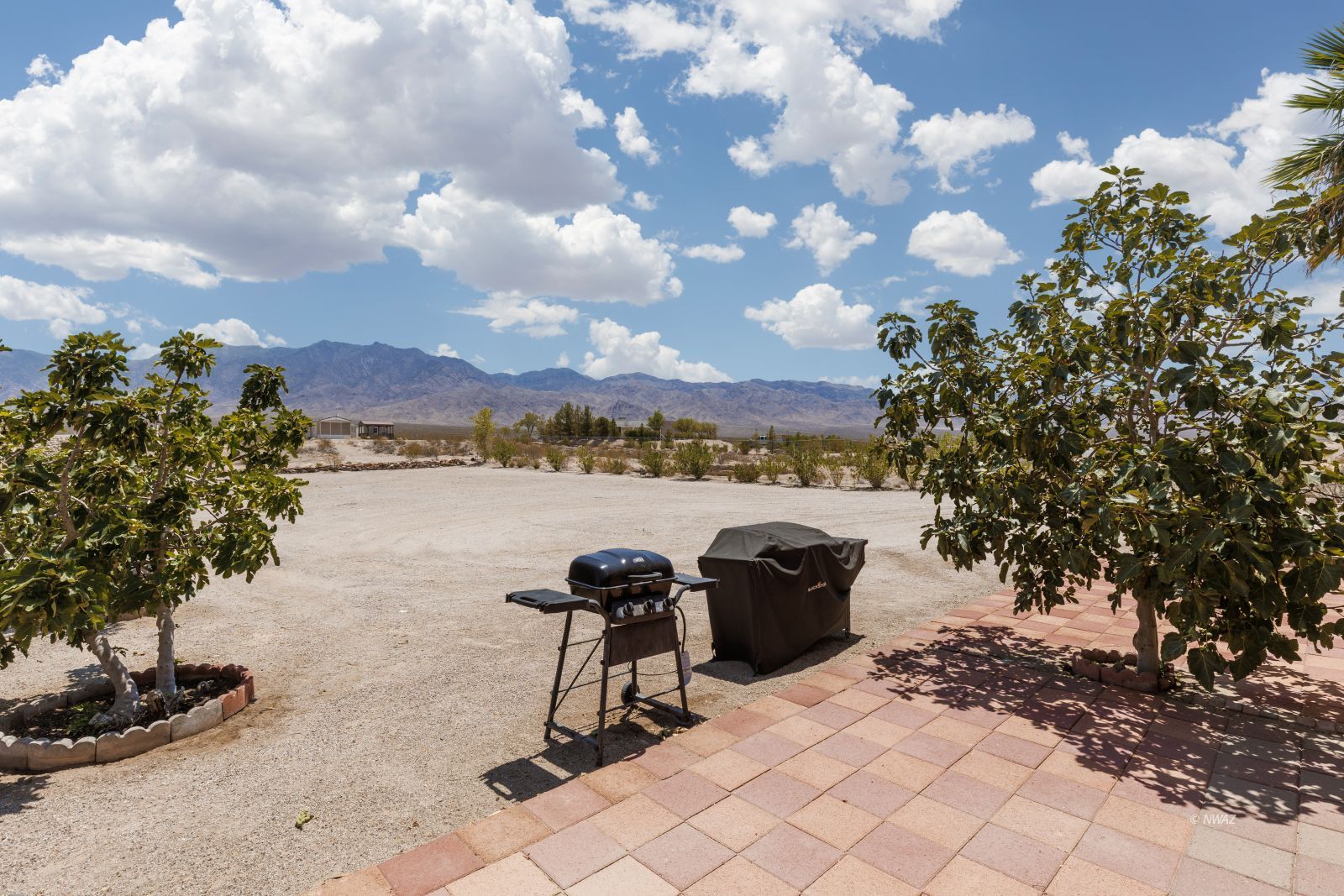 Property Photo 41