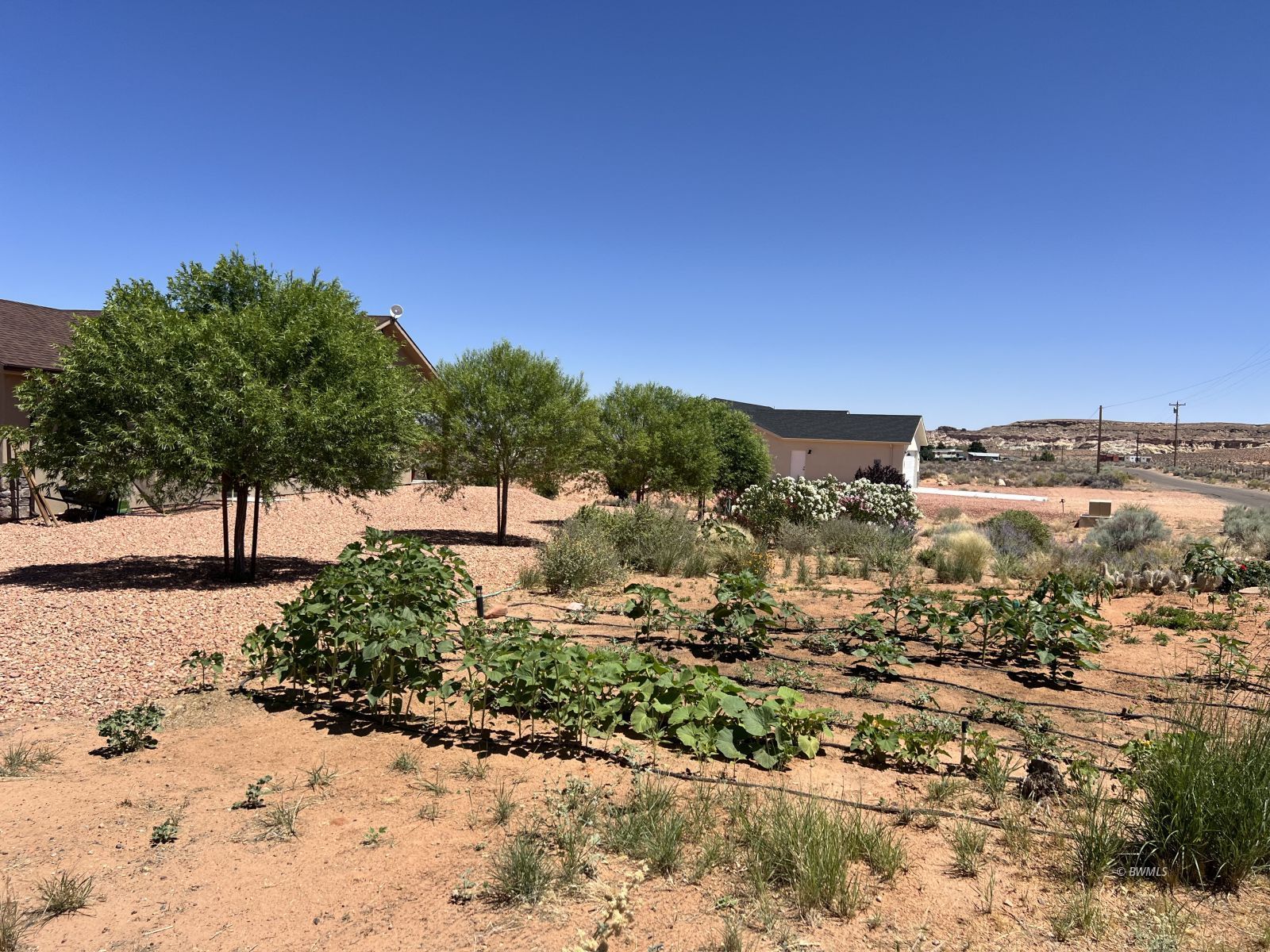 Property Photo 26