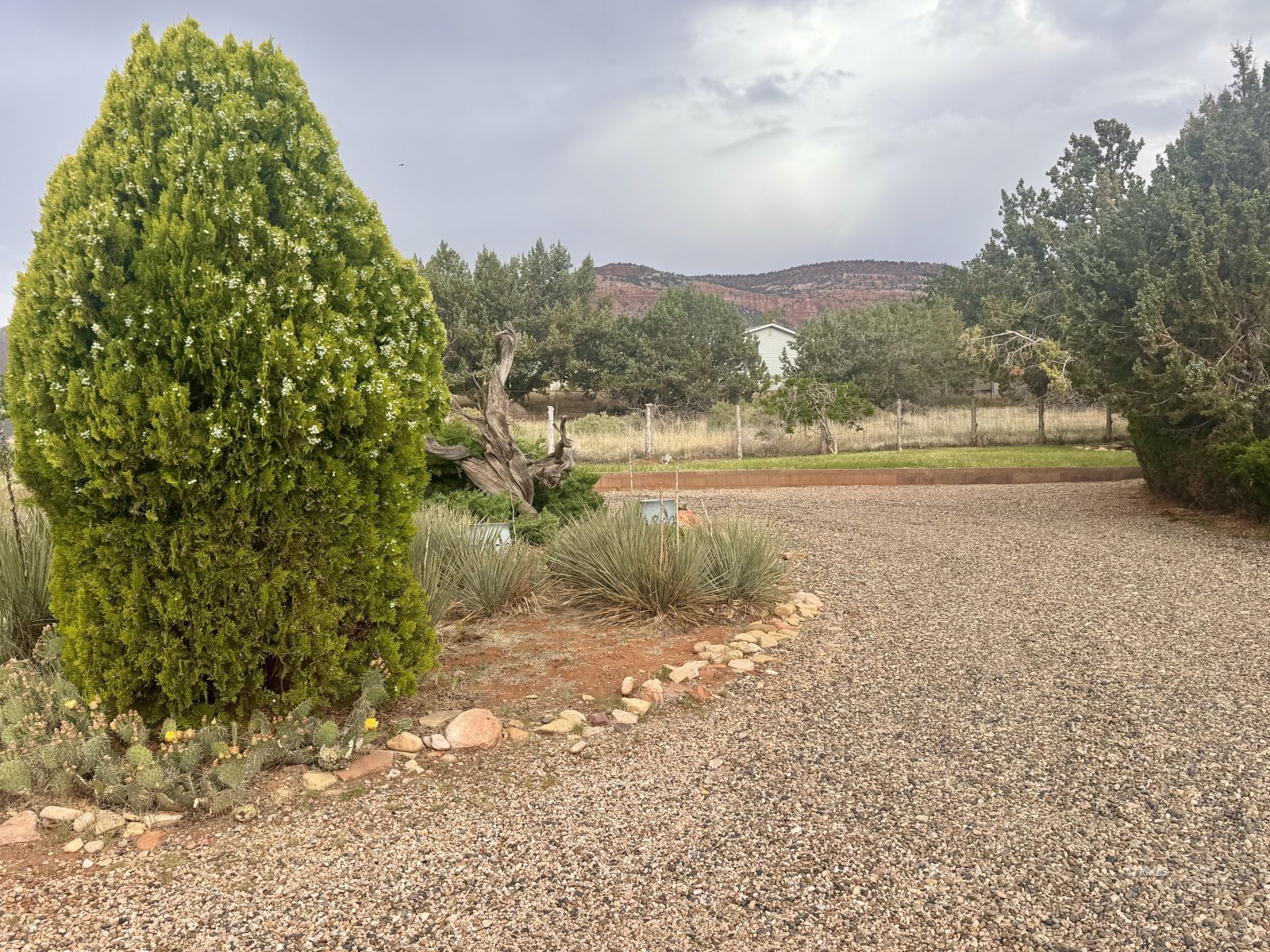 Property Photo 25