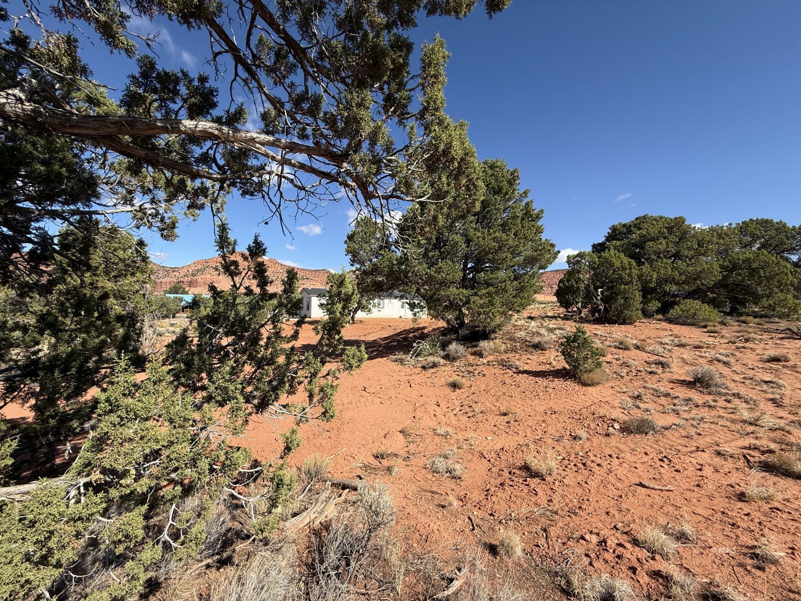 Property Photo 22