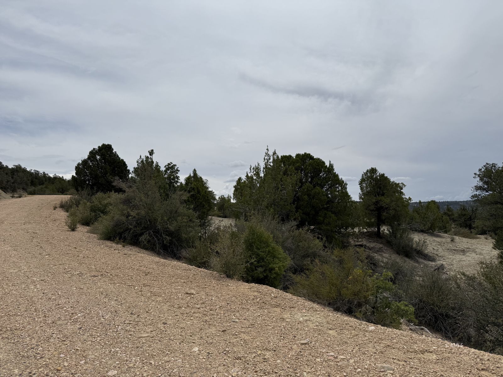 Property Photo 50