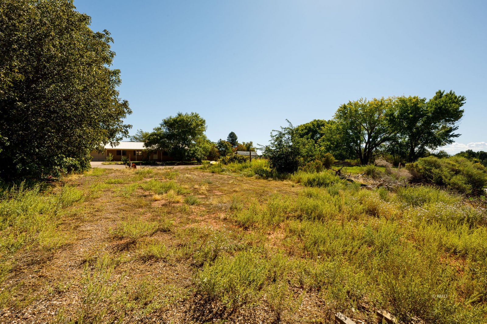 Property Photo 39