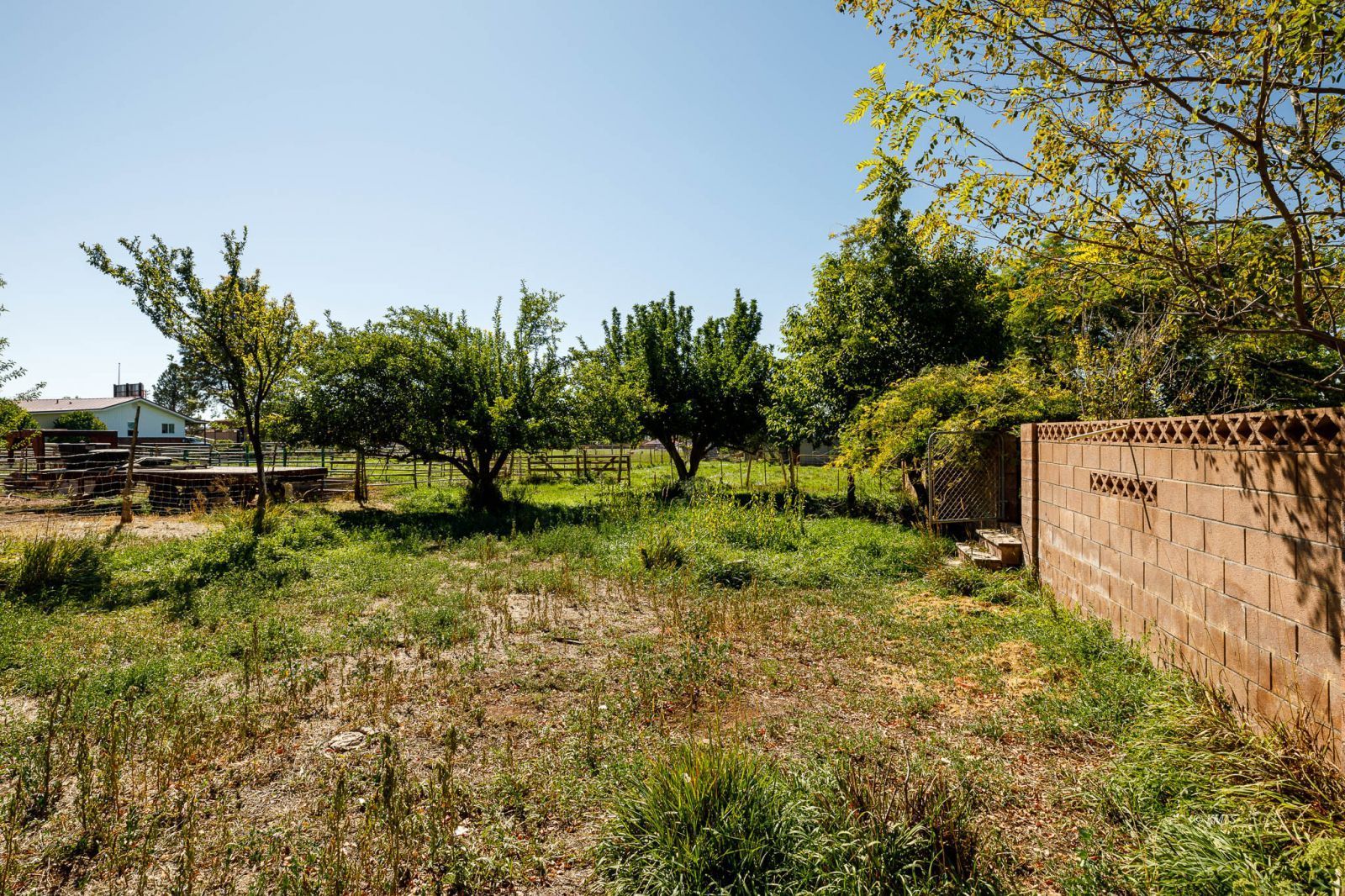 Property Photo 41