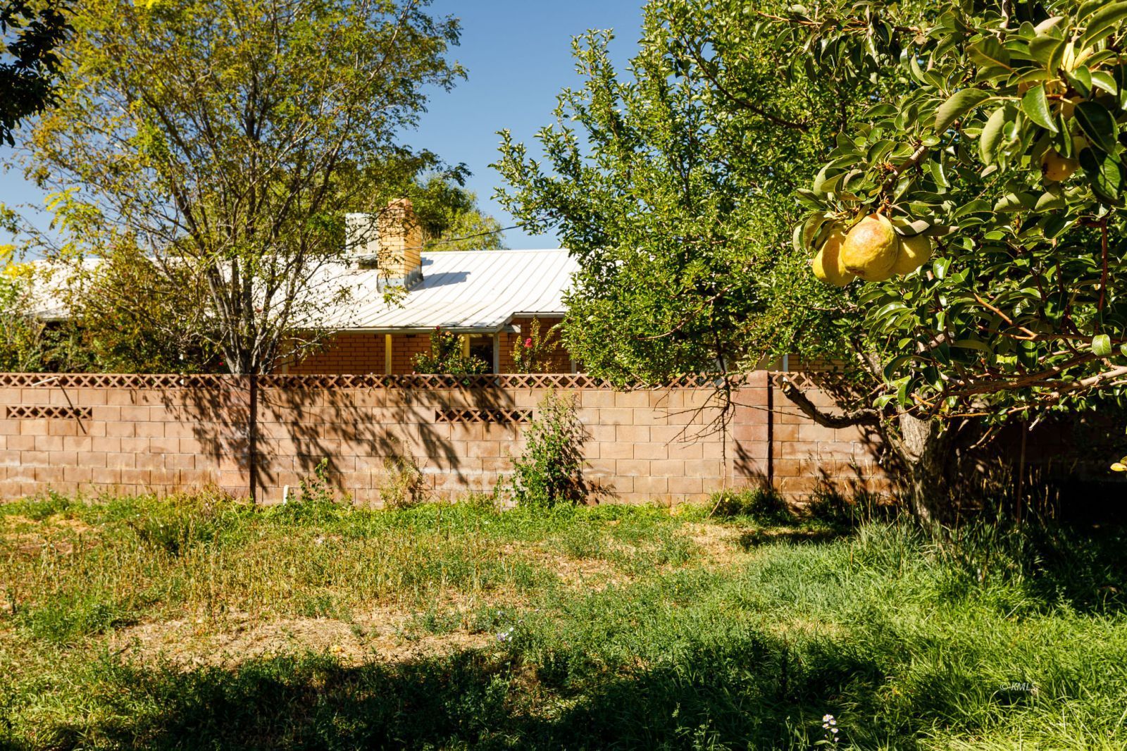 Property Photo 42
