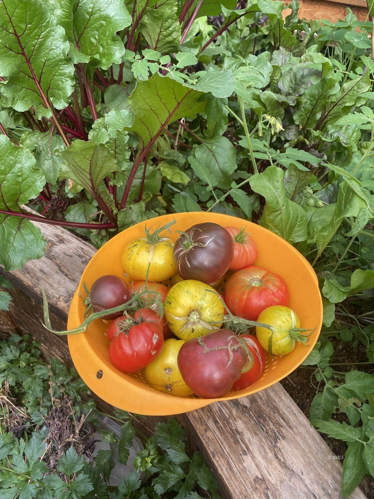 Property Photo 18