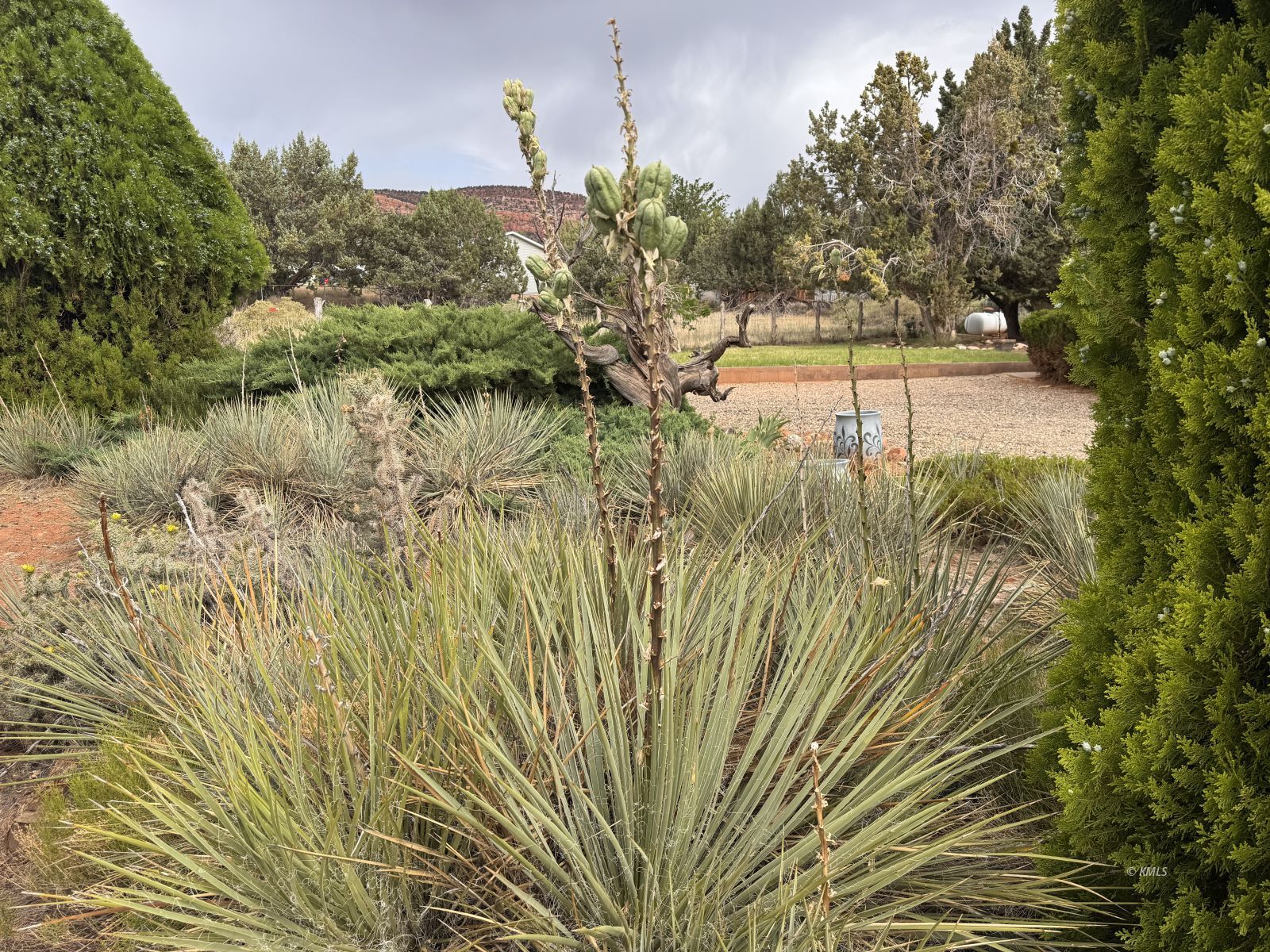 Property Photo 31