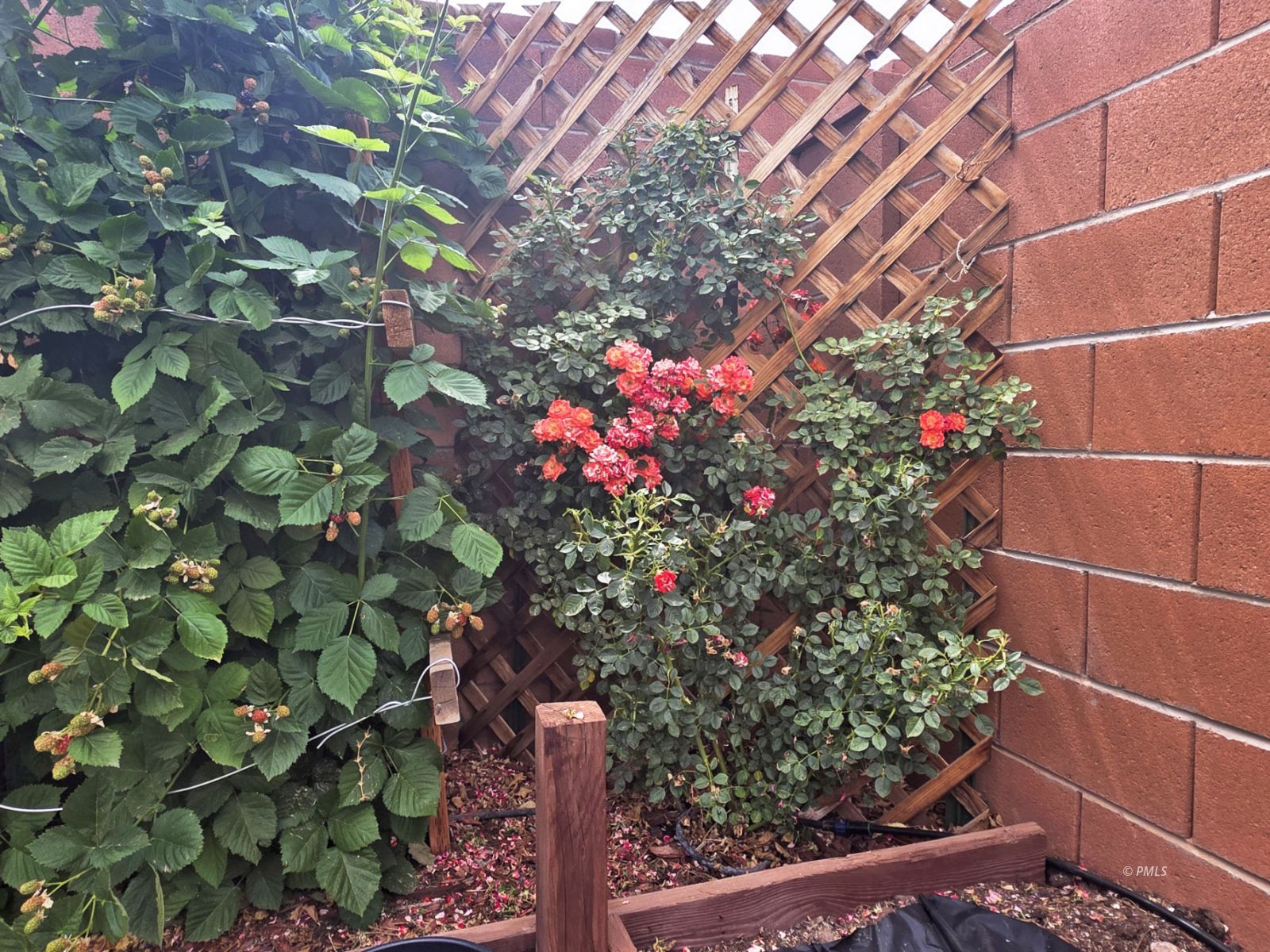 Property Photo 39