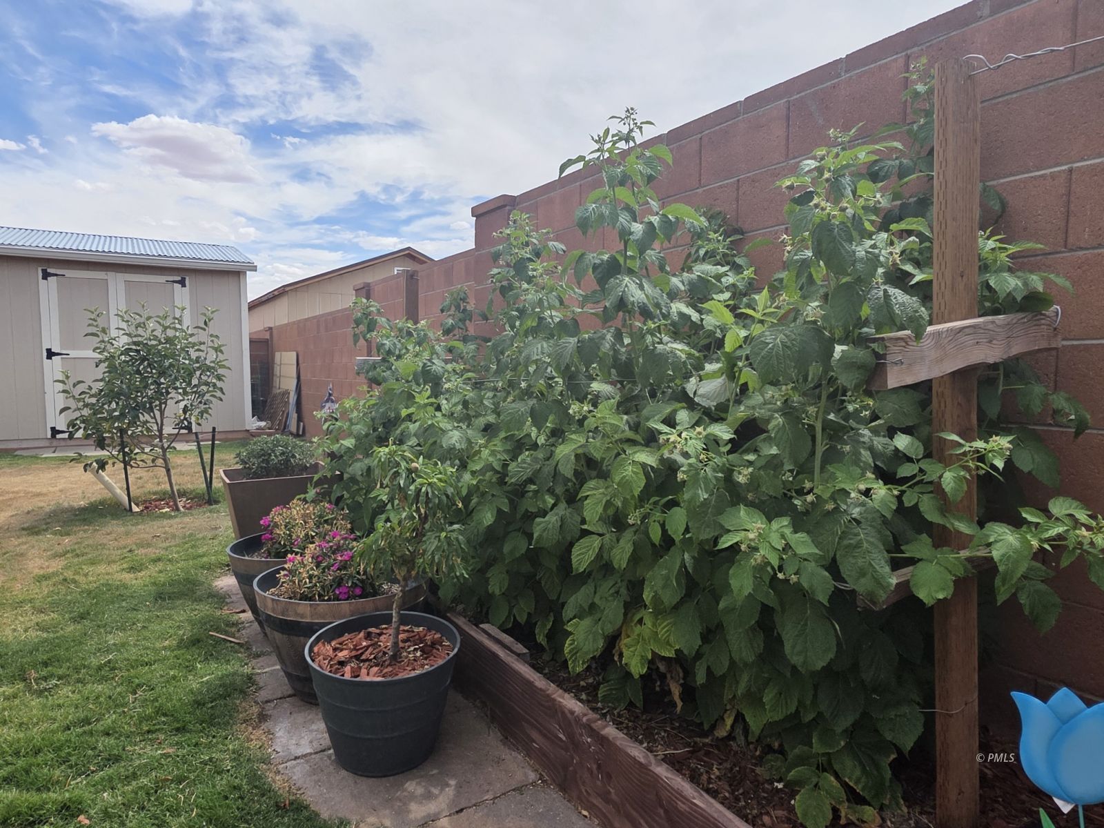 Property Photo 40