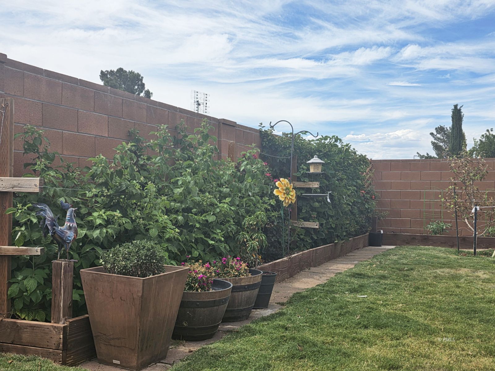 Property Photo 42