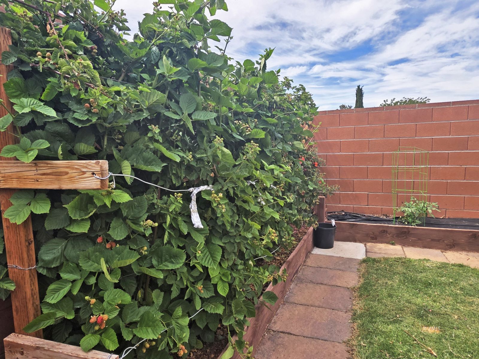 Property Photo 31