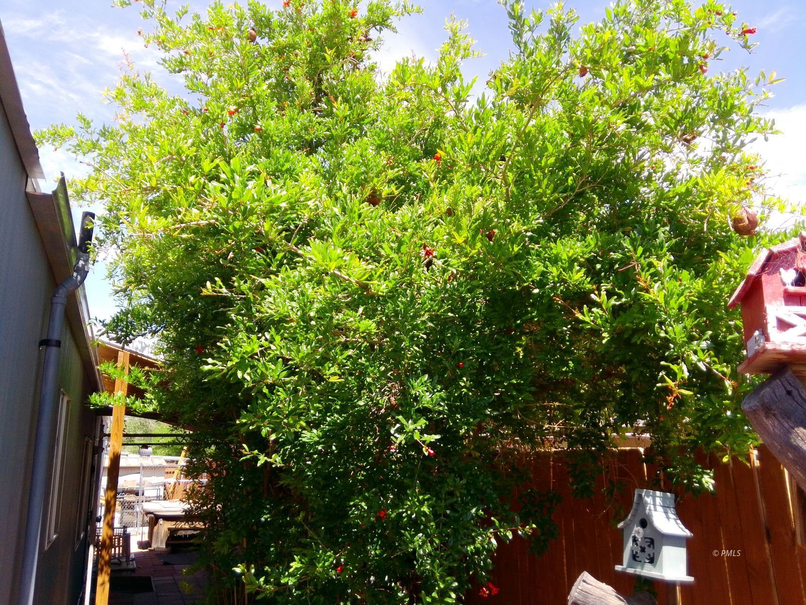 Property Photo 36