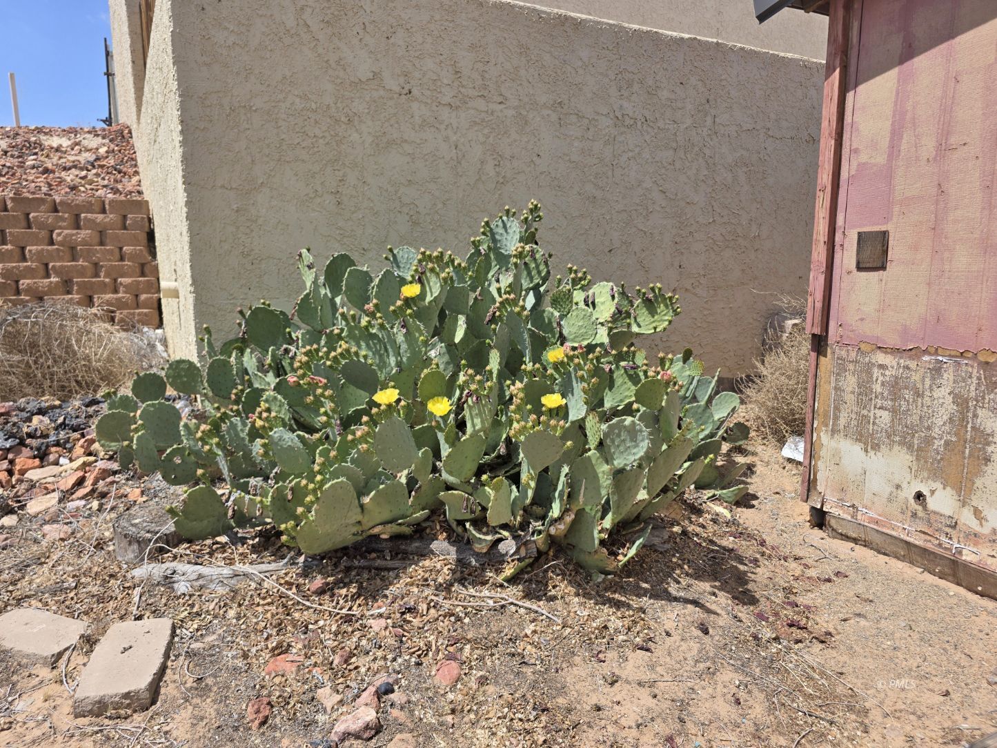 Property Photo 21