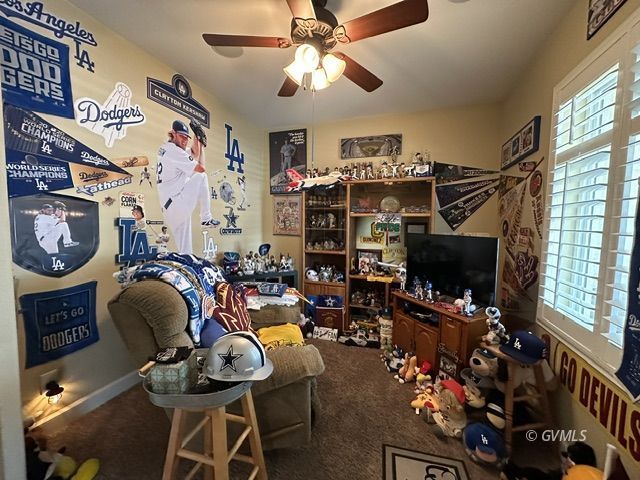 Property Photo 36