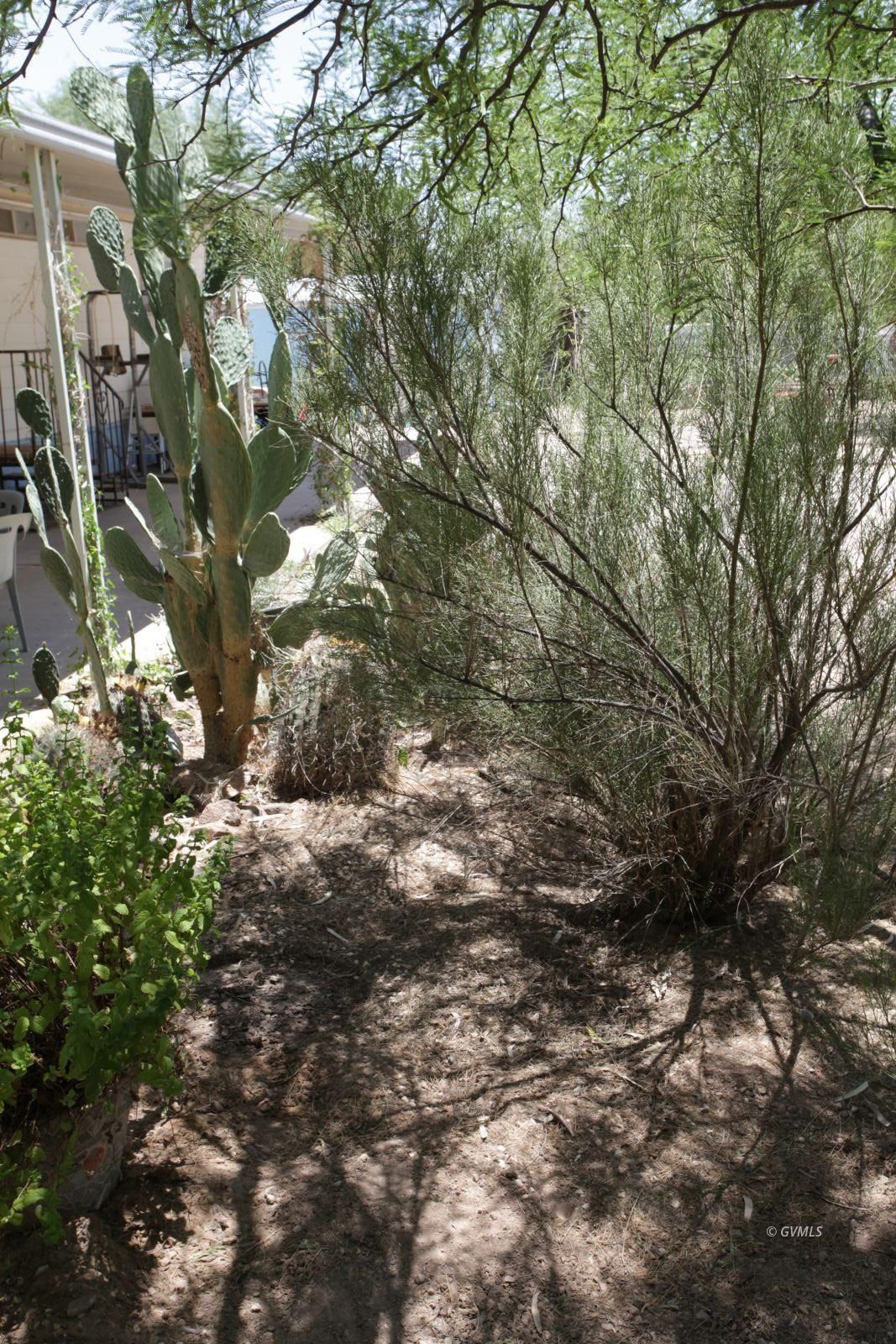 Property Photo 20