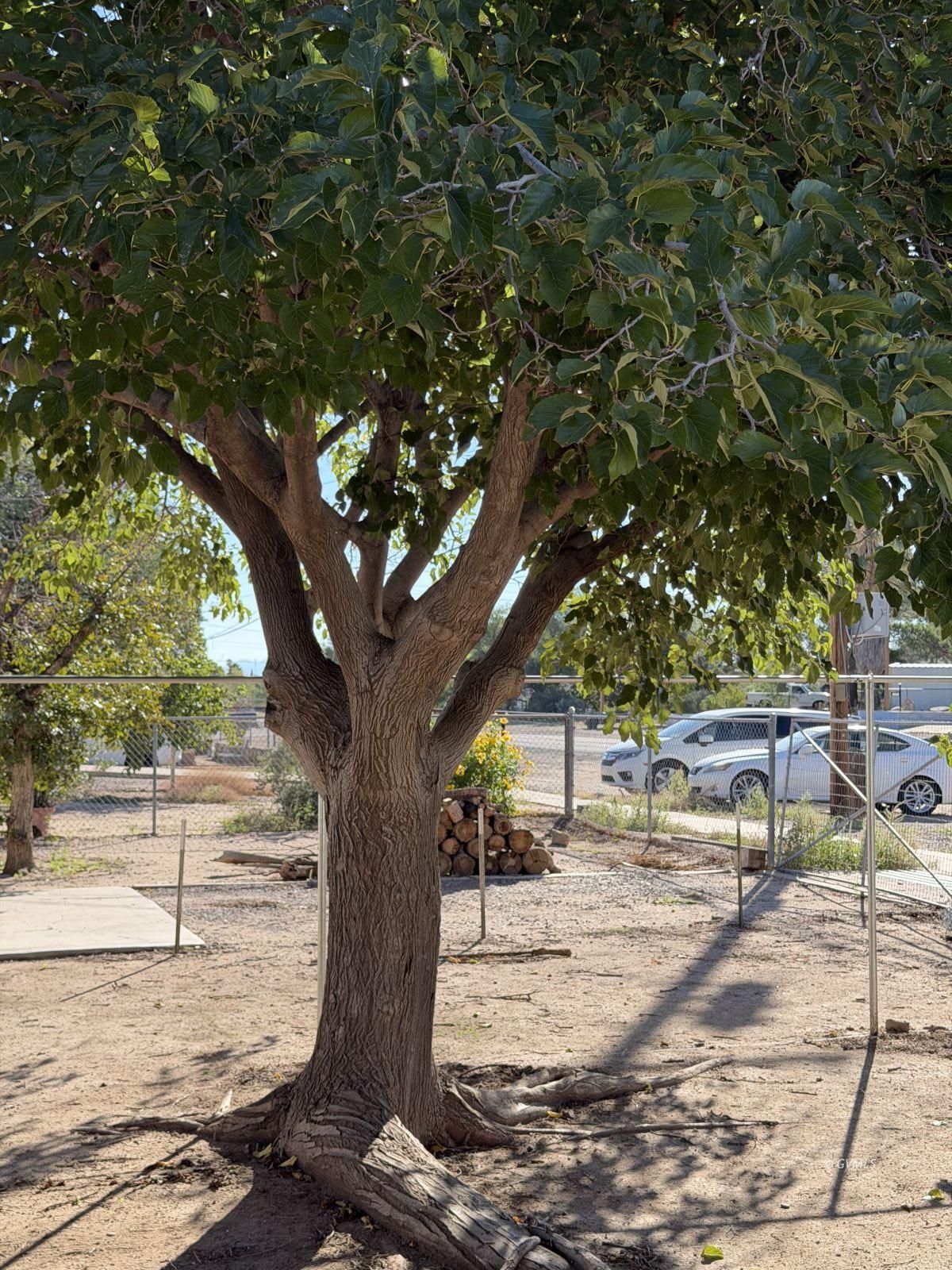 Property Photo 37