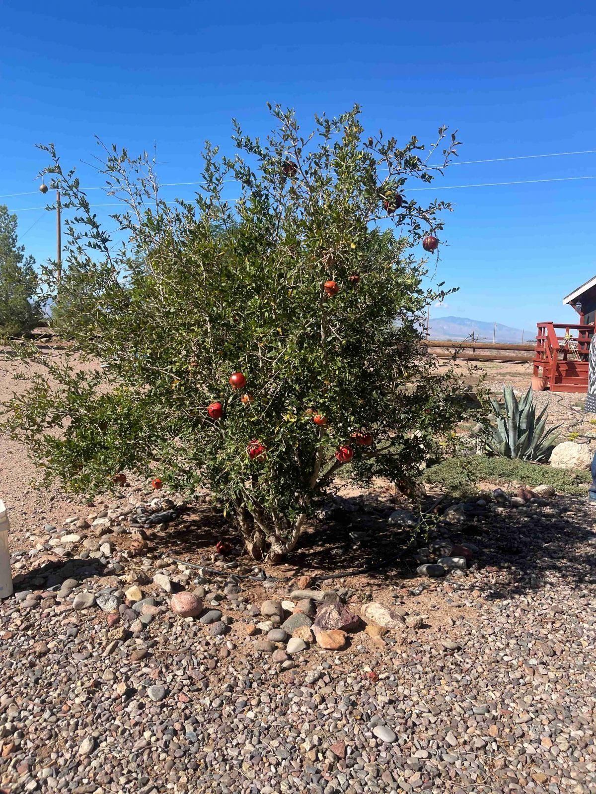 Property Photo 48