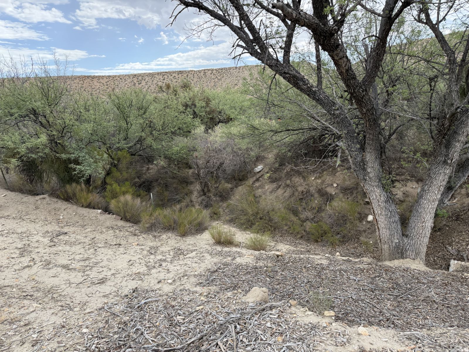 Property Photo 41