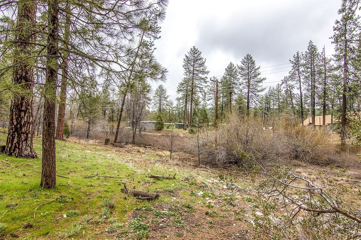 Property Photo 48