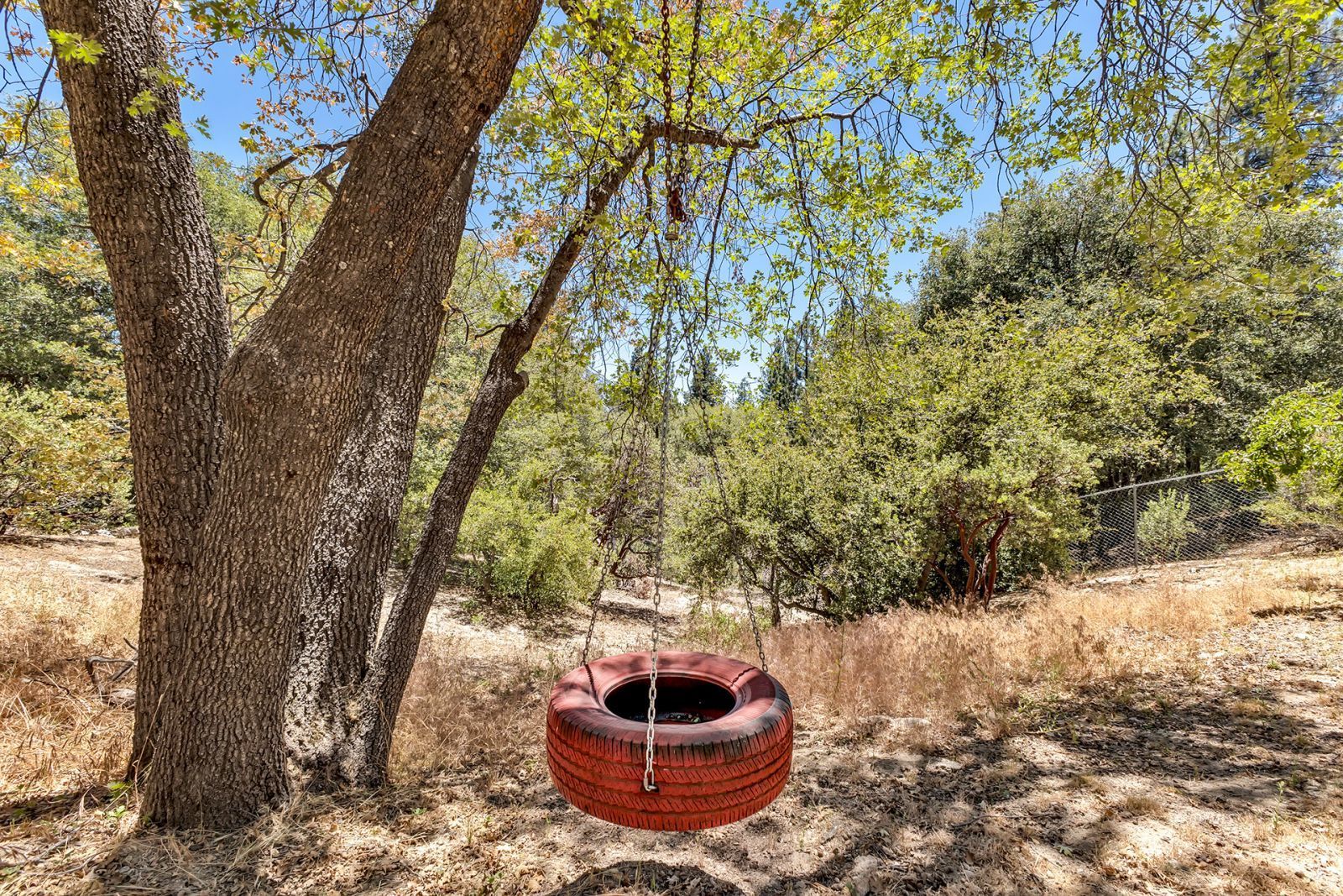 Property Photo 74