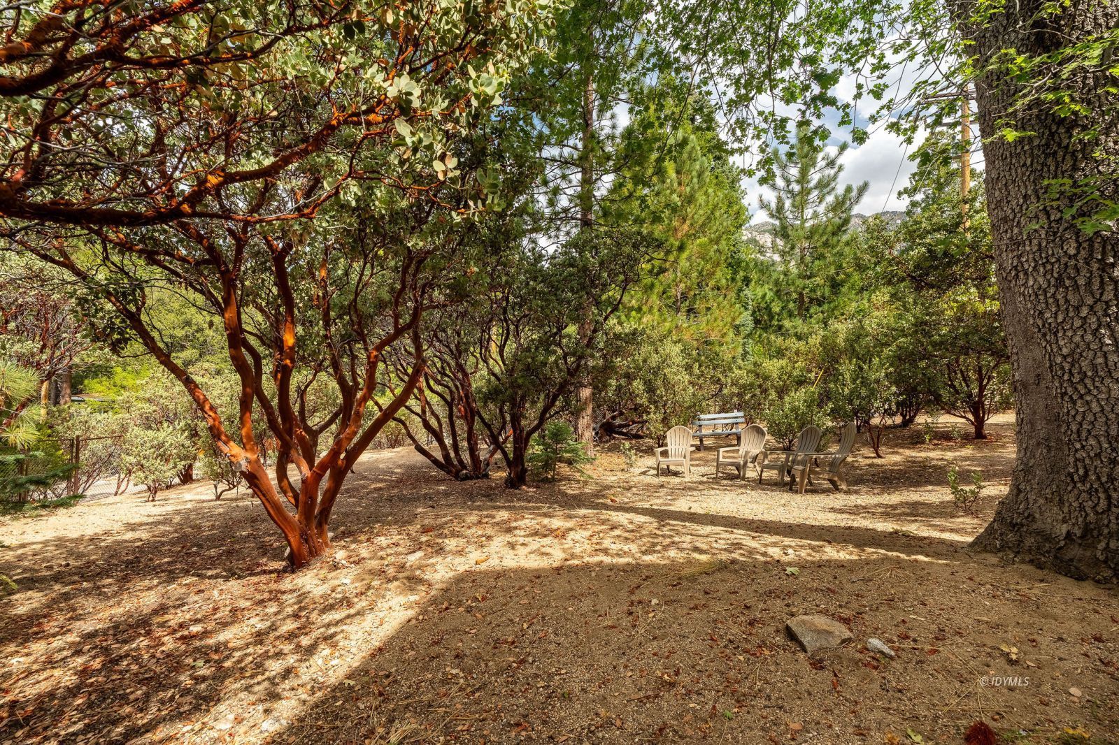 Property Photo 61