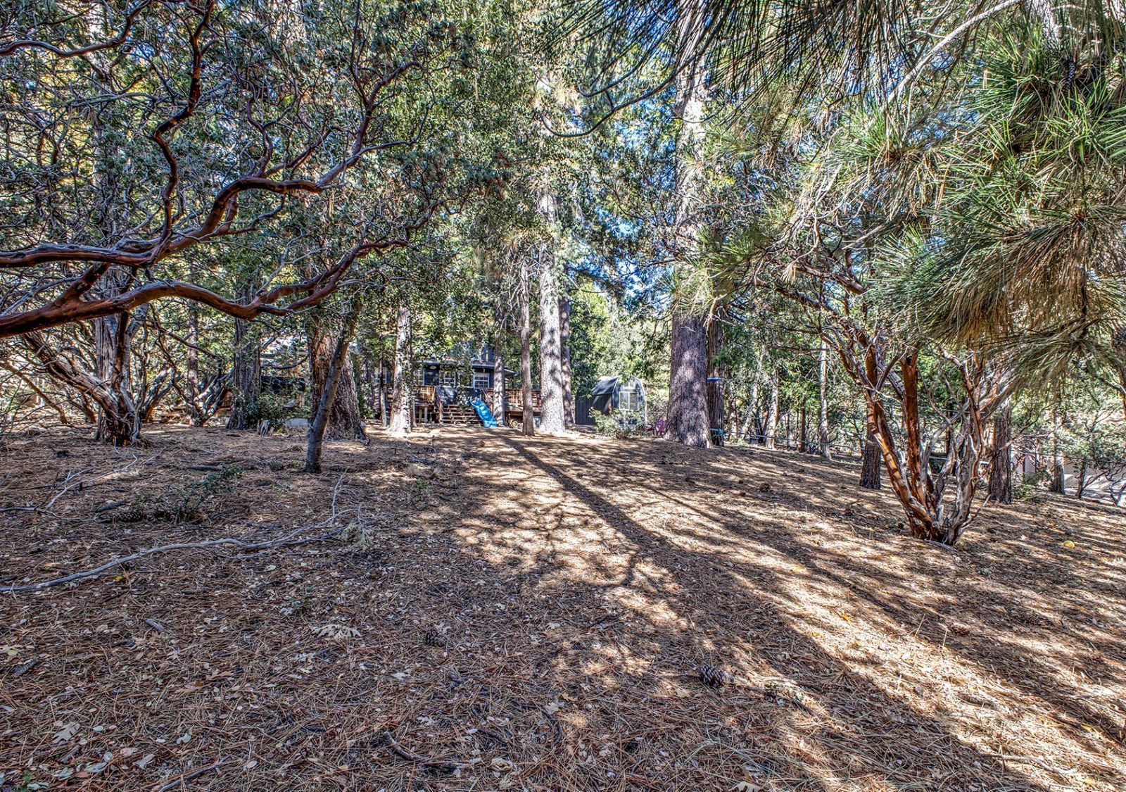 Property Photo 56