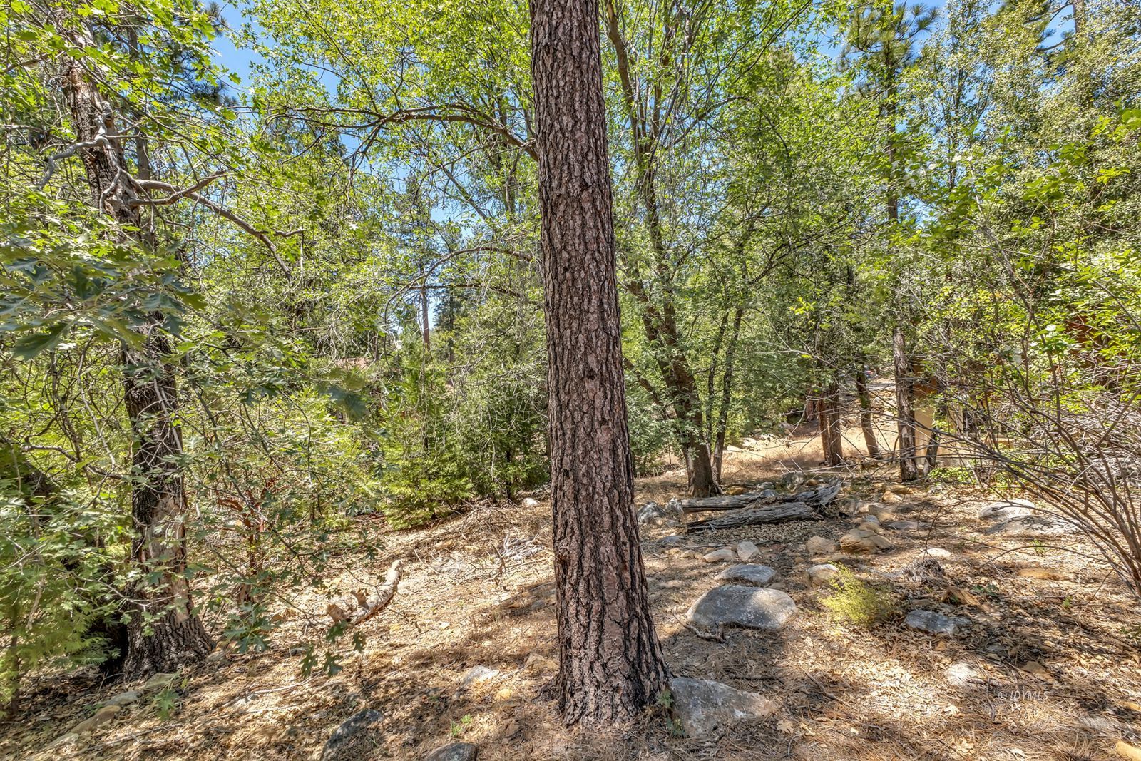 Property Photo 50