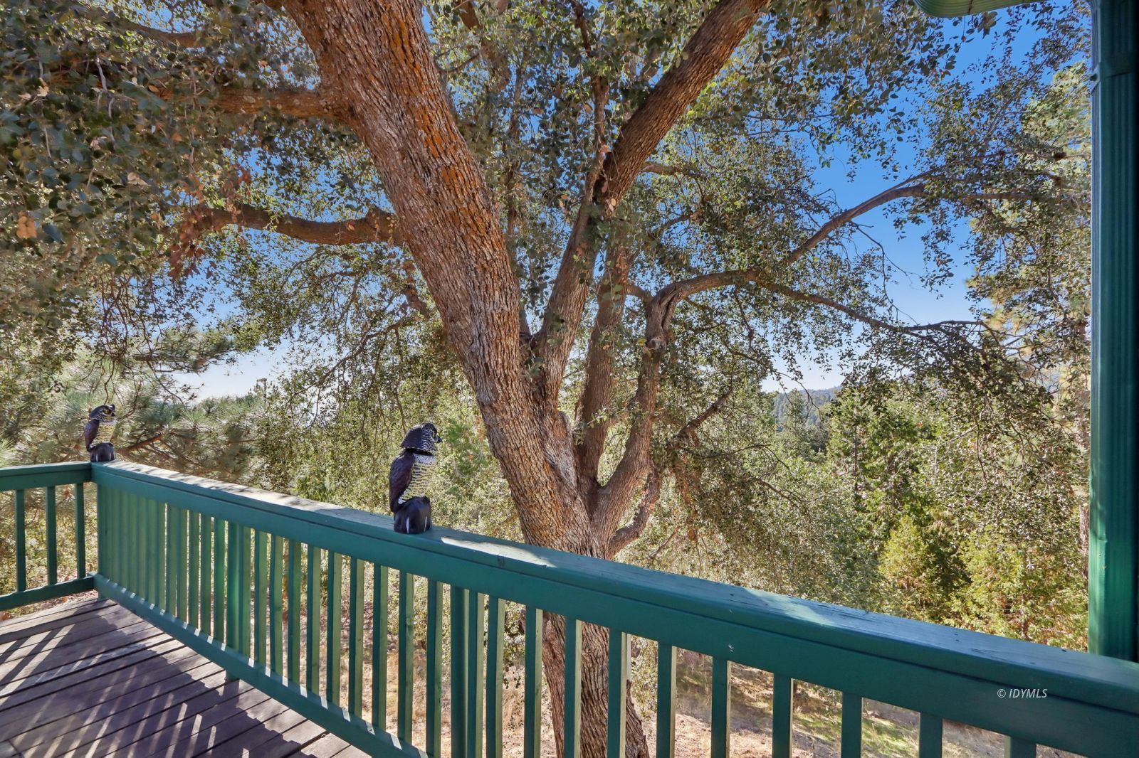 Property Photo 52