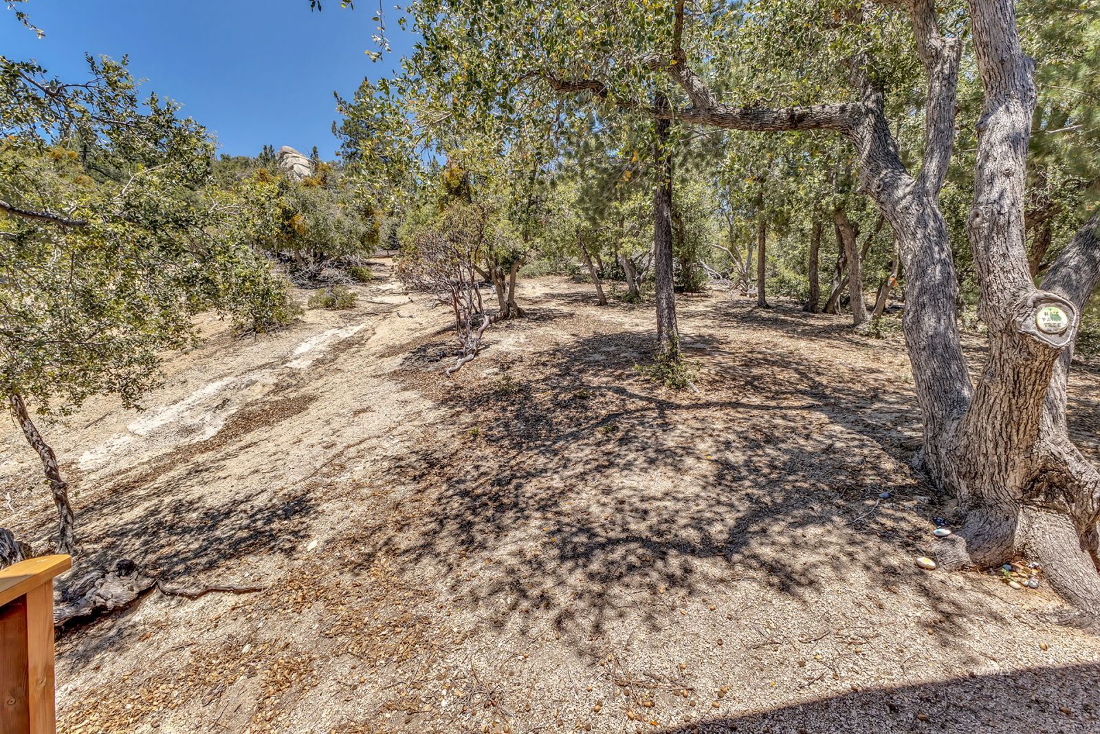 Property Photo 45