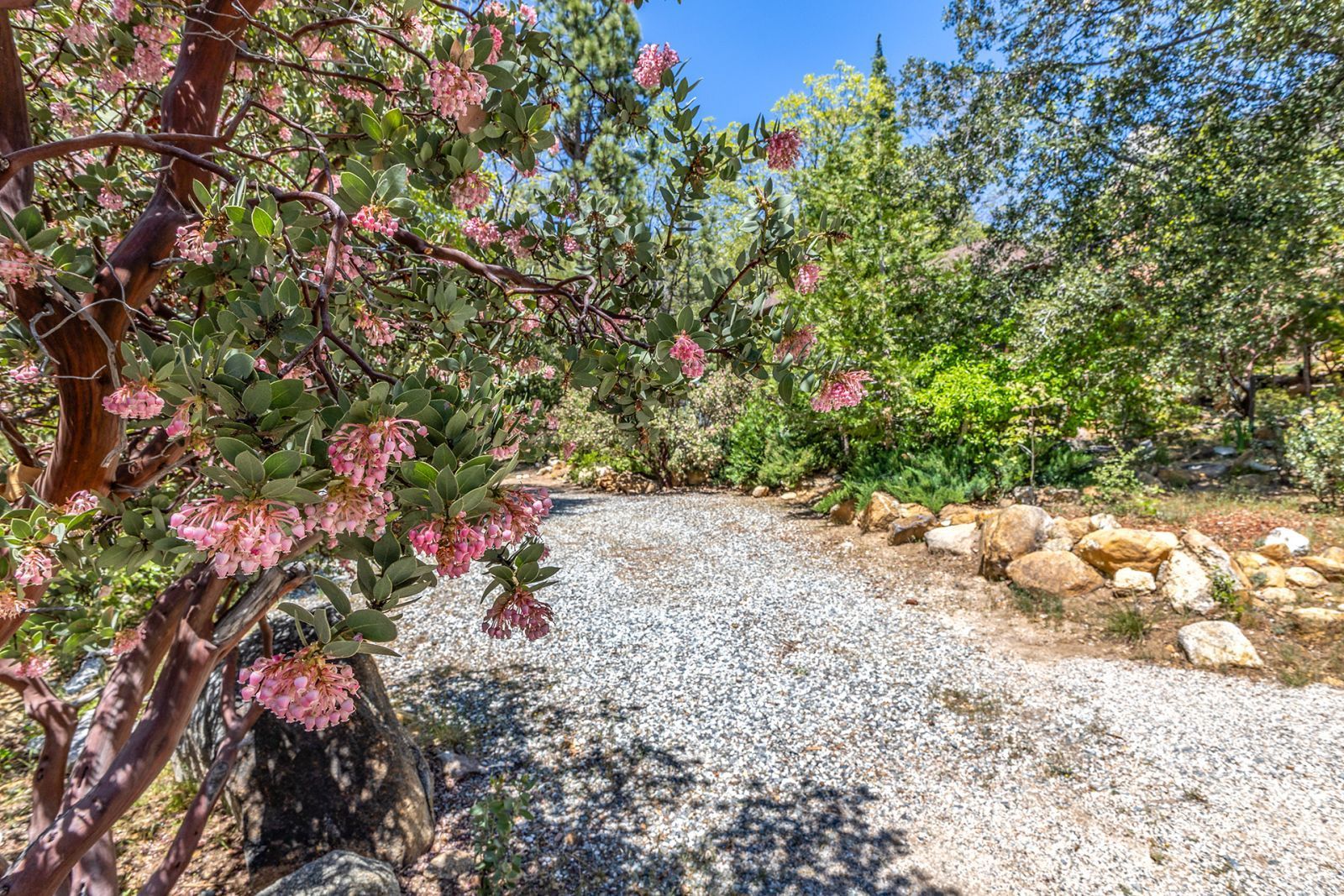 Property Photo 54