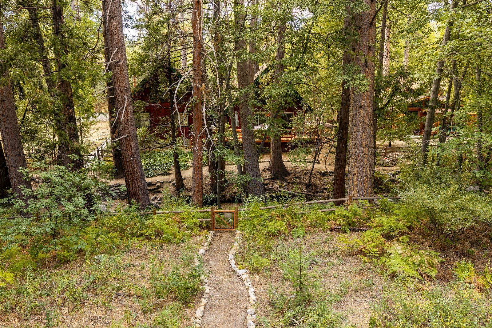 Property Photo 53