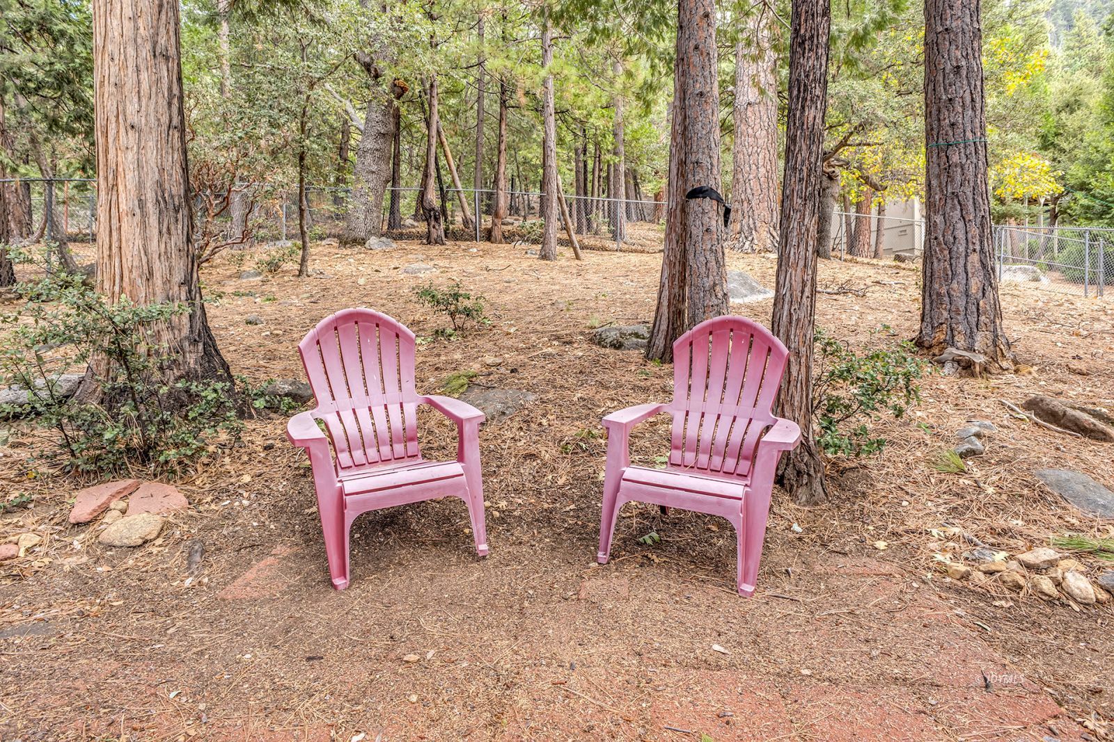 Property Photo 48