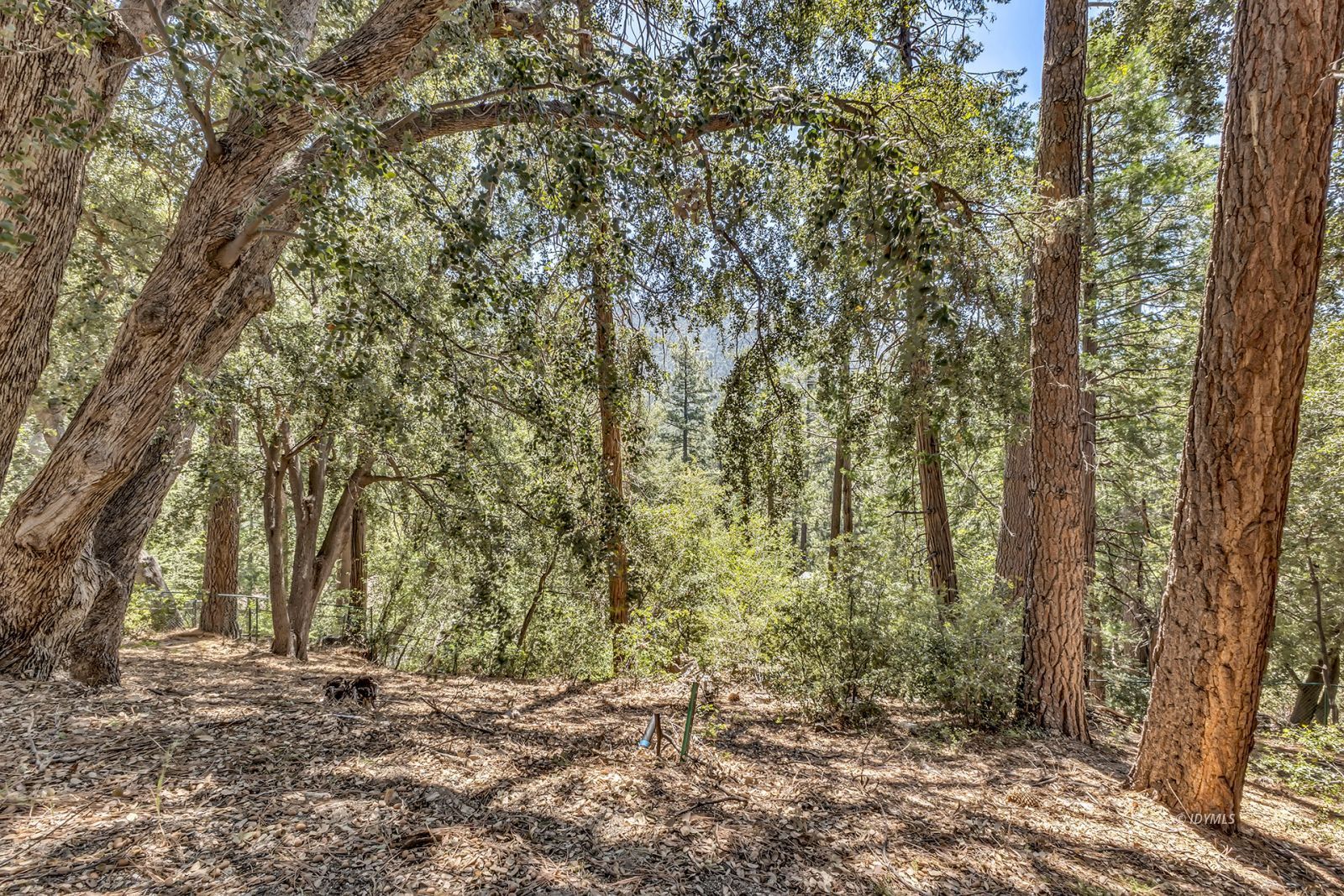 Property Photo 35
