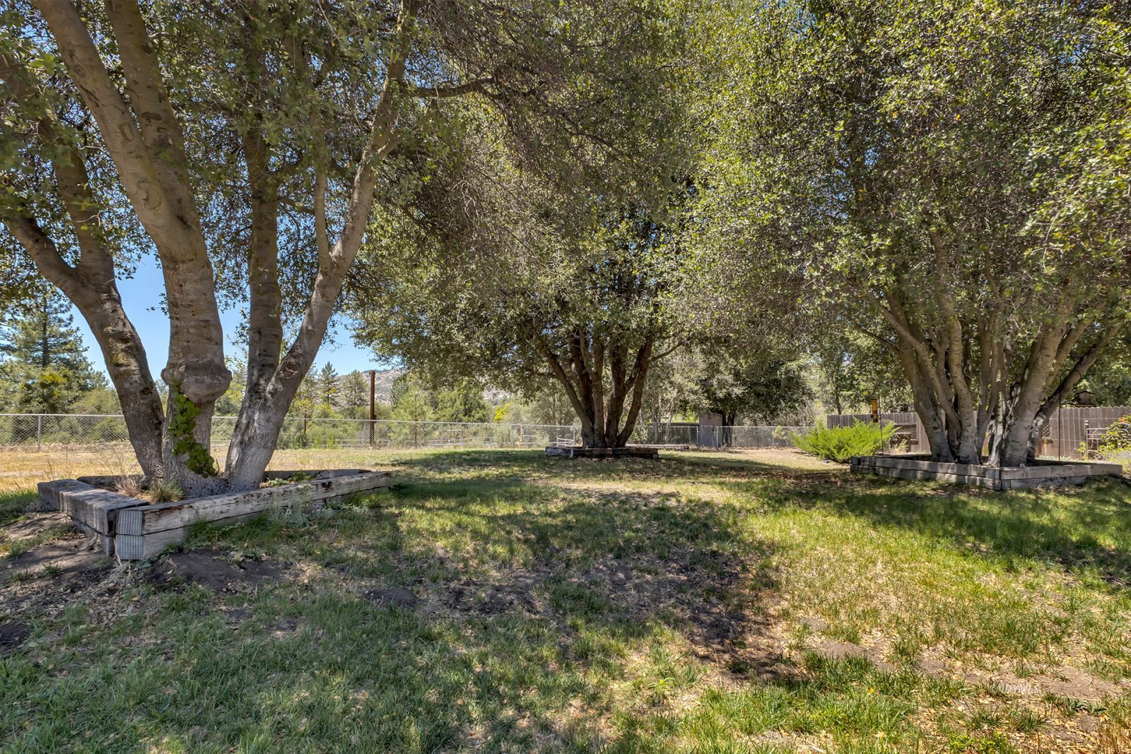 Property Photo 50