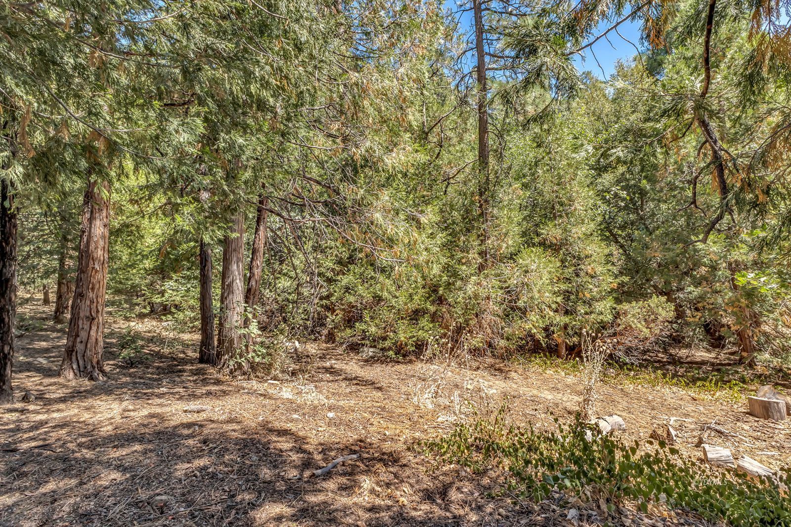 Property Photo 46