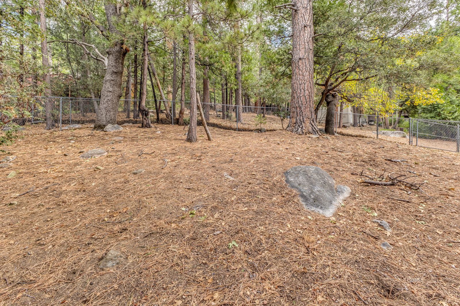 Property Photo 49
