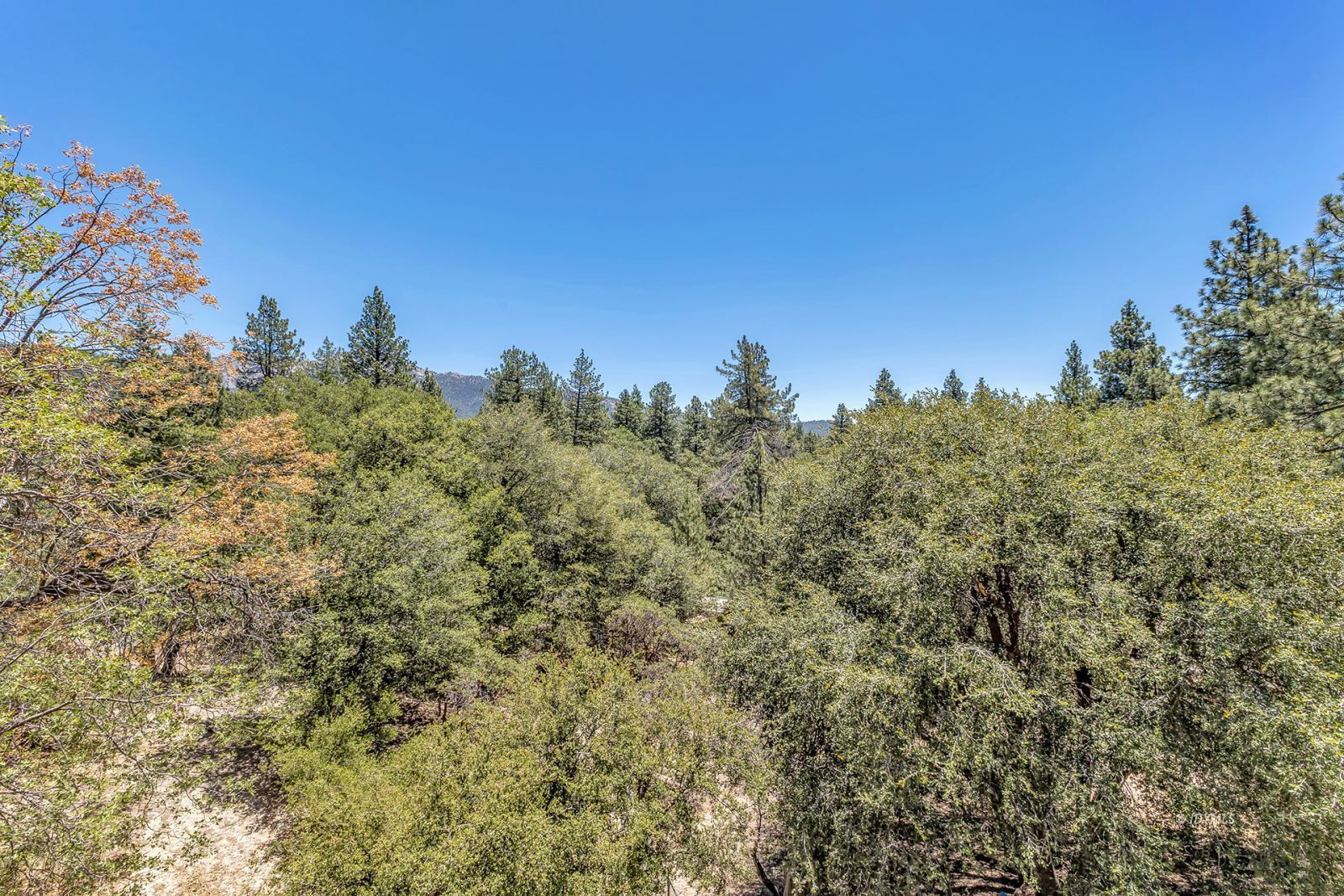 Property Photo 62