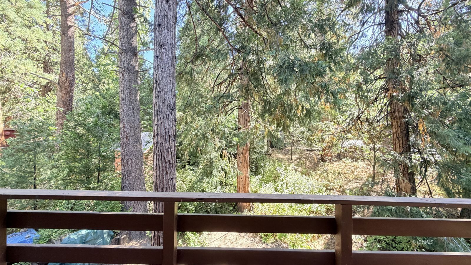 Property Photo 38