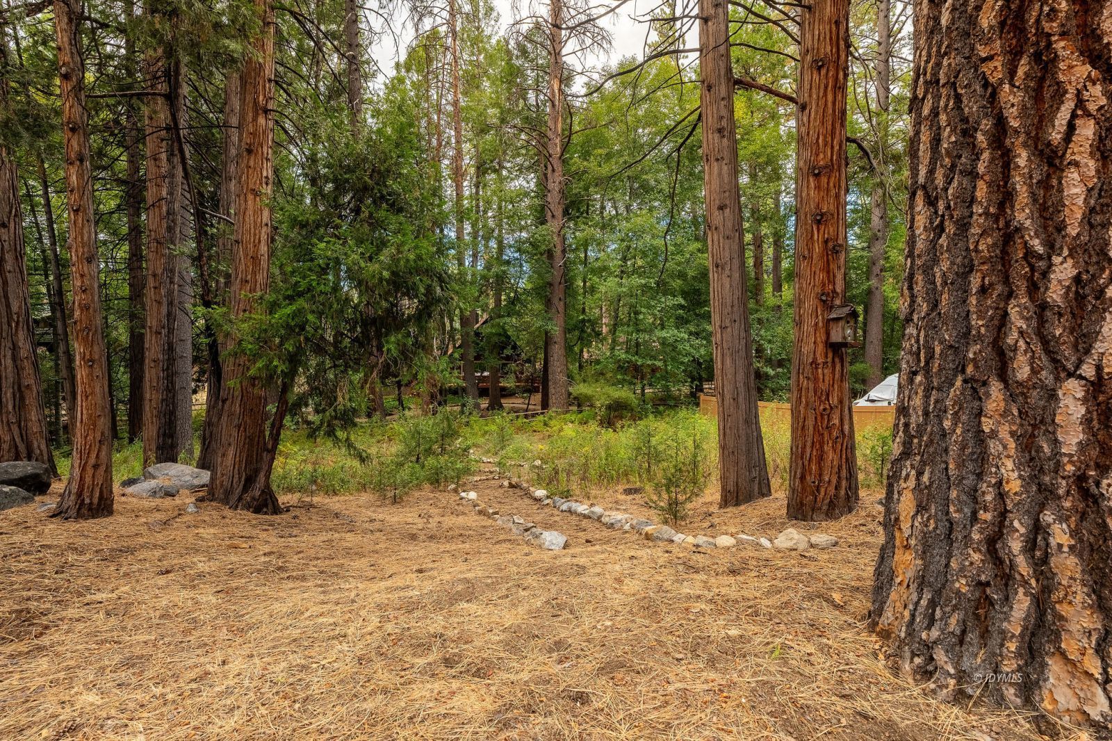 Property Photo 41