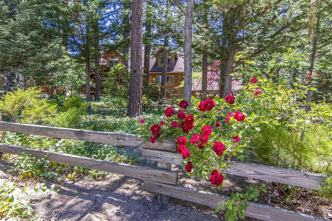 Property Photo 59
