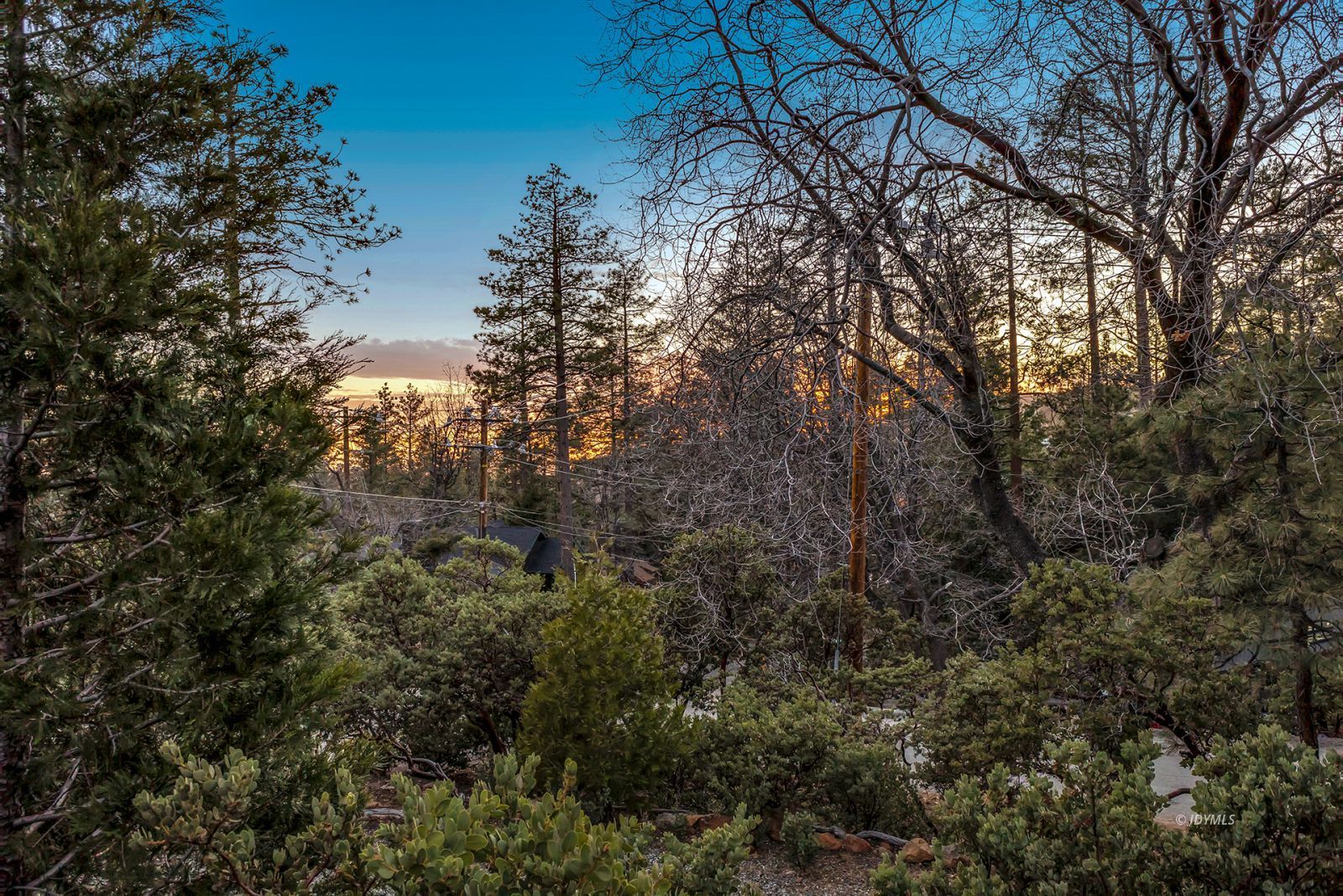 Property Photo 46