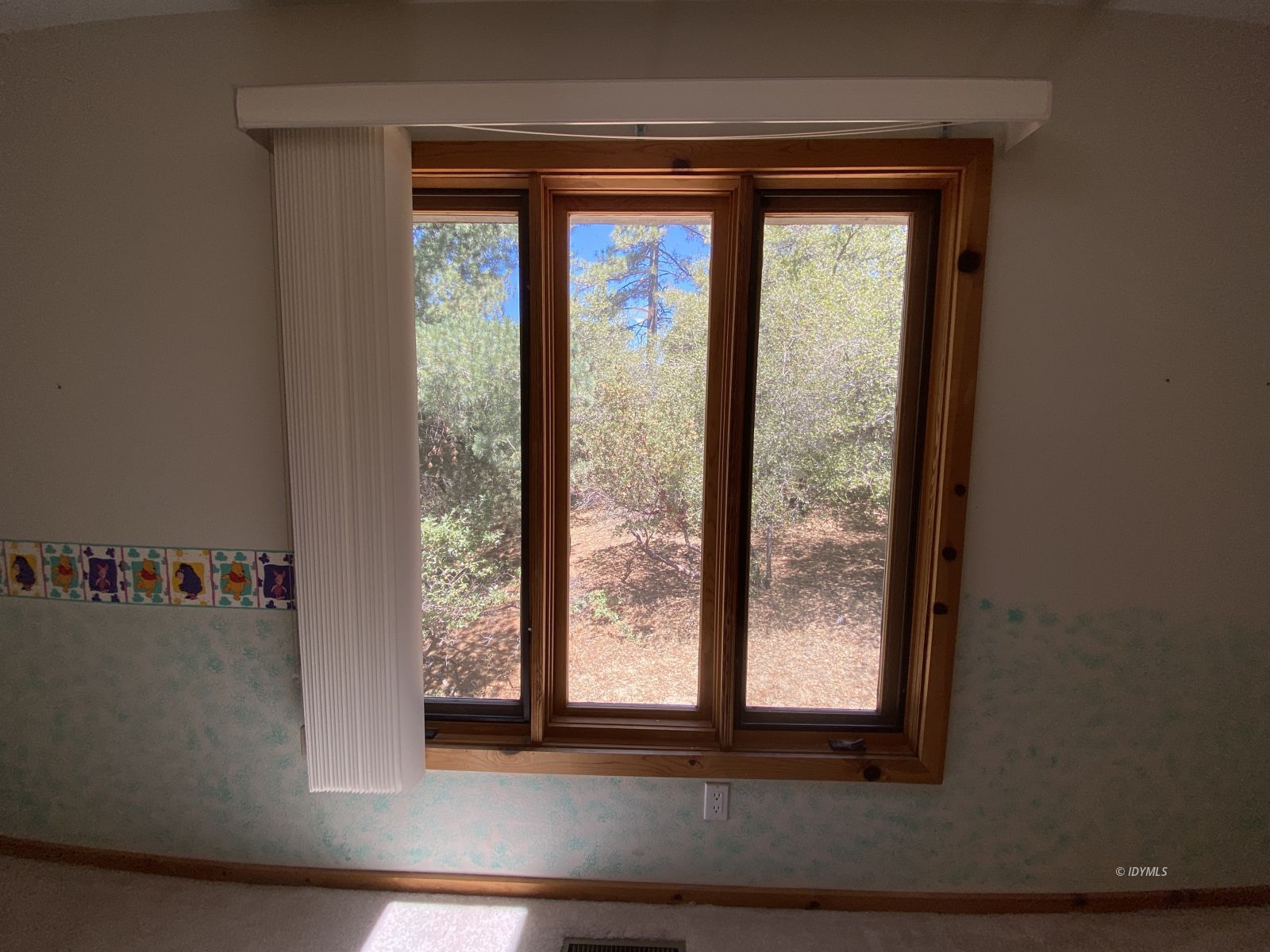 Property Photo 58