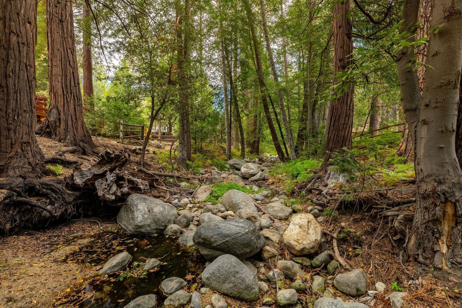 Property Photo 46