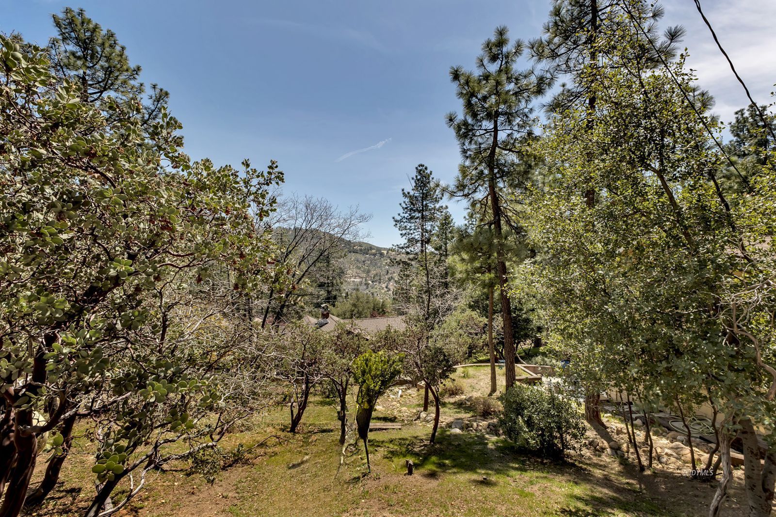 Property Photo 57
