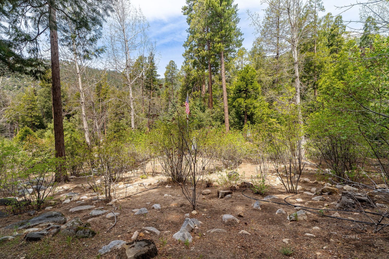 Property Photo 39