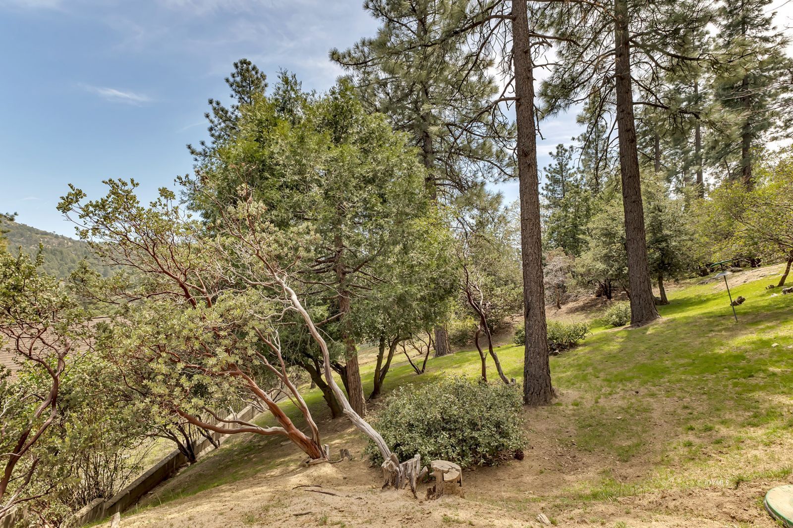 Property Photo 51